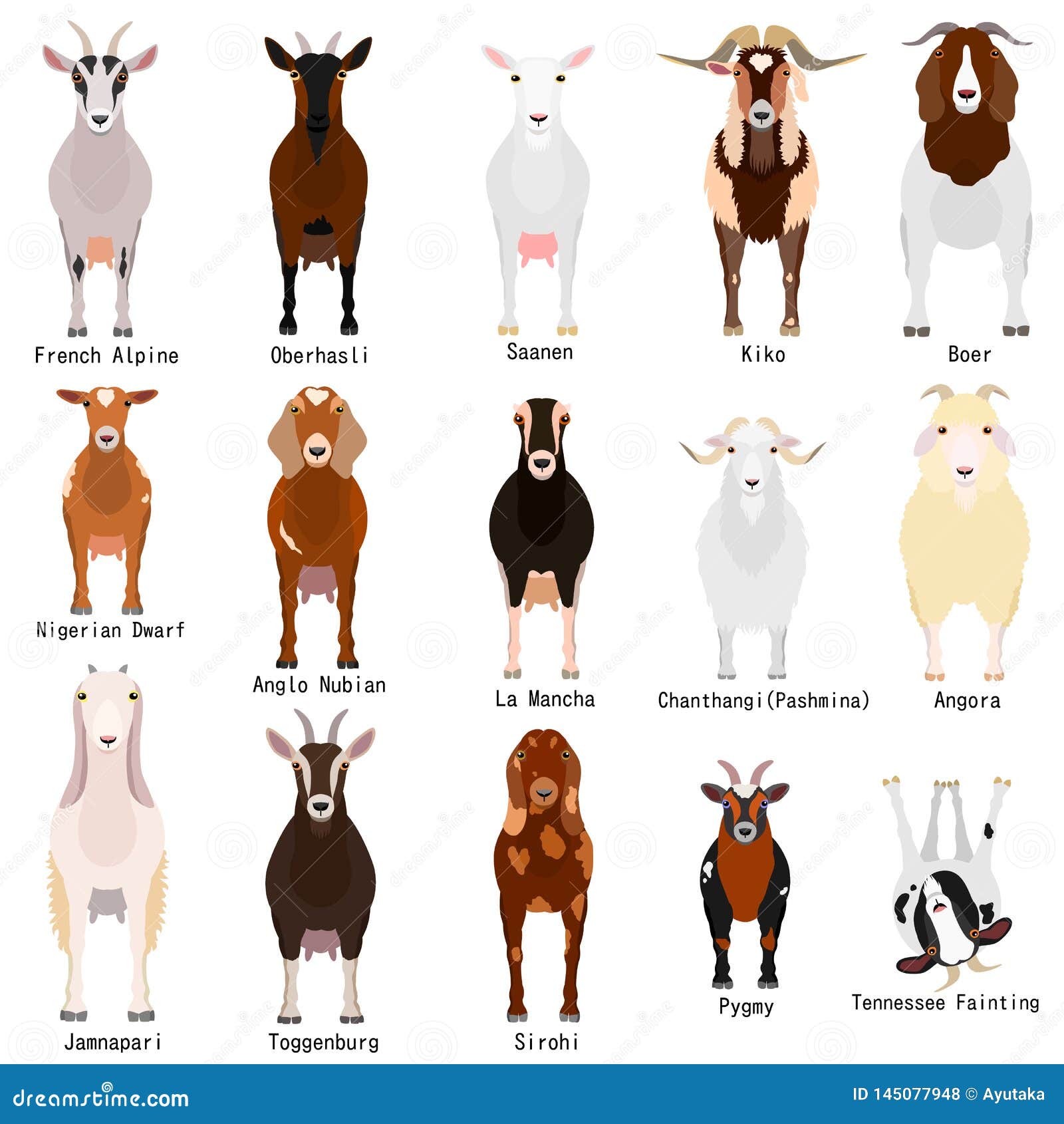 Fainting Goat Stock Illustrations – 4 Fainting Goat Stock Illustrations,  Vectors & Clipart - Dreamstime