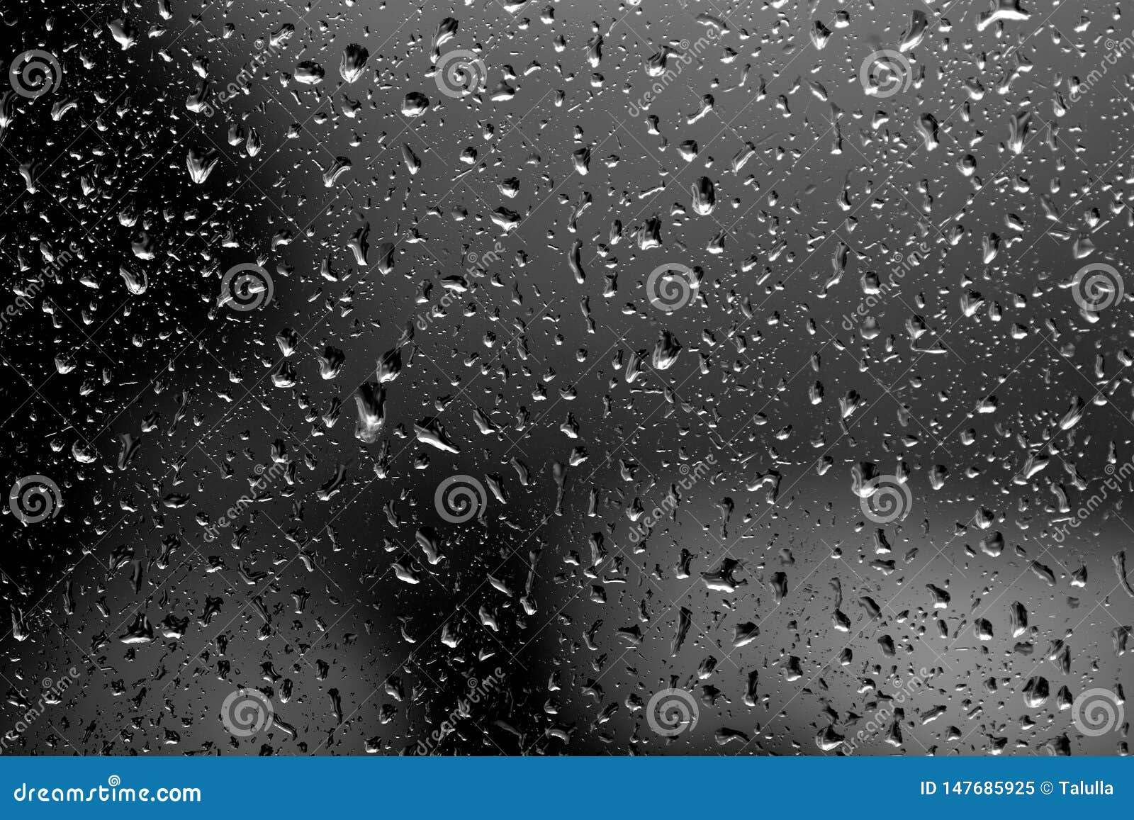 Gocce Di Pioggia Su Vetro In Tempo Piovoso Sfondo Naturale In Bianco E Nero Immagine Stock Immagine Di Ambiente Estratto 147685925