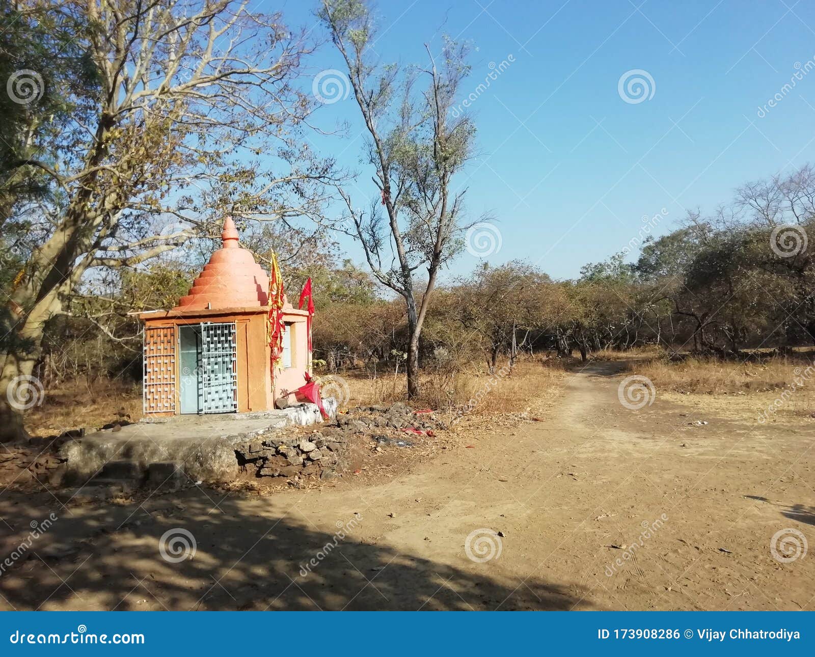 god for hanuman tempal in sasan gir forest insait