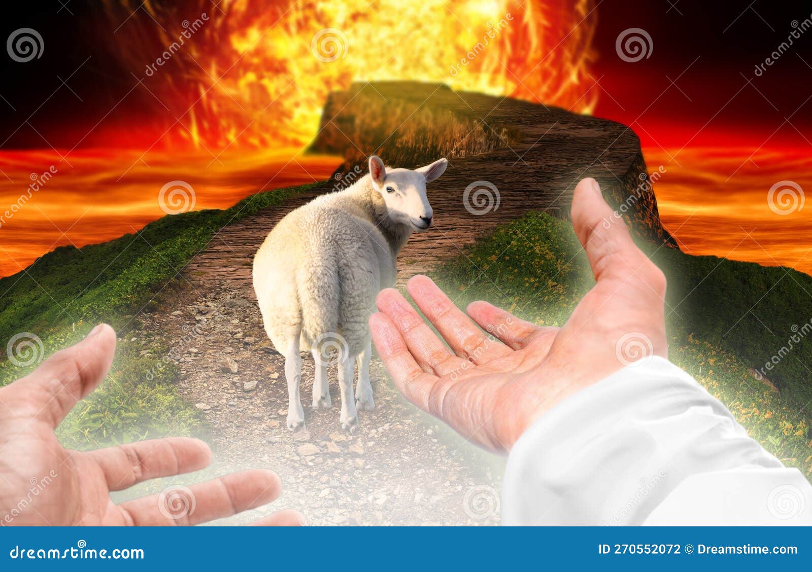 god saves the sheep from hell and calls it to follow him