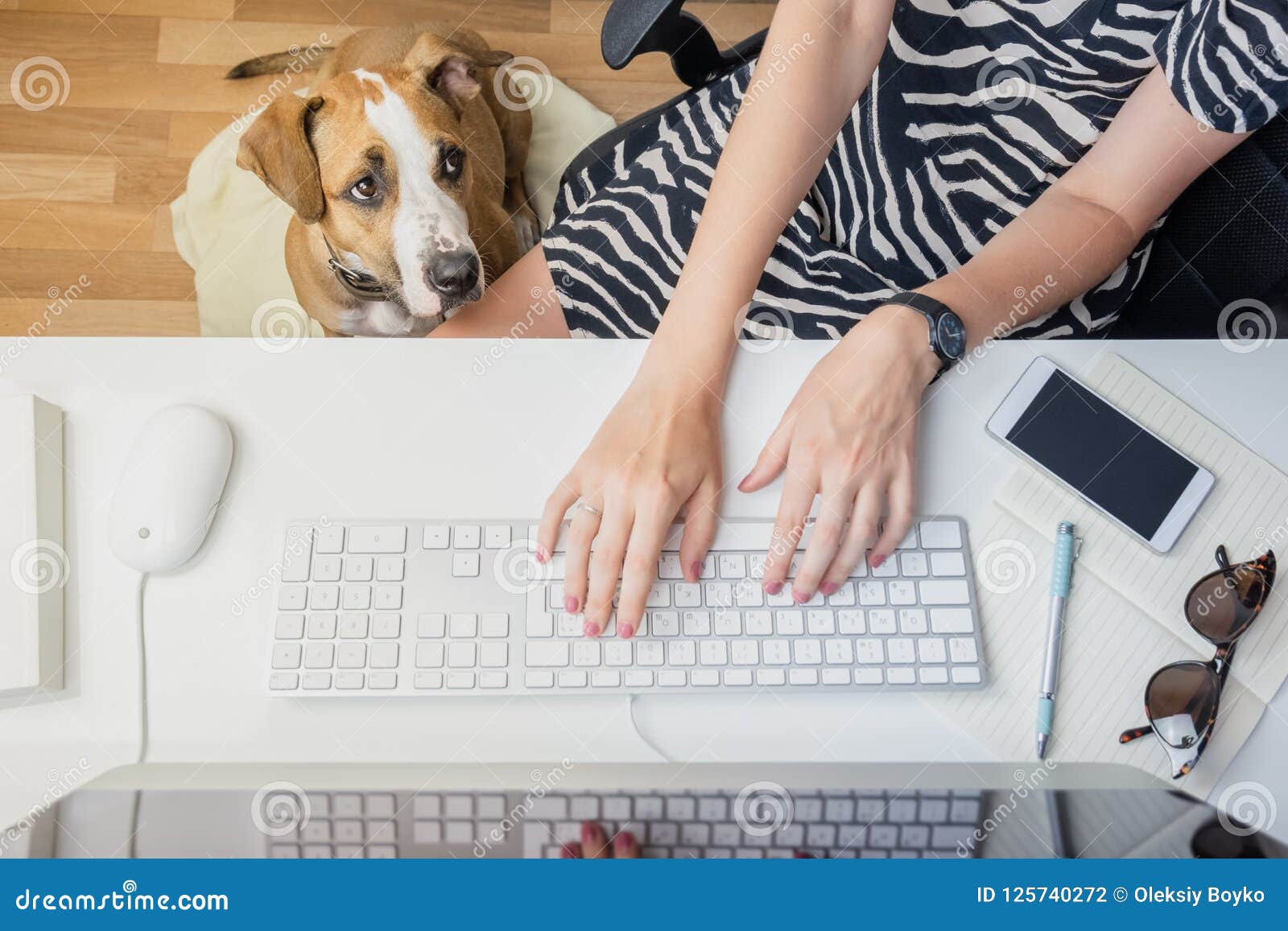 Going To Work With Pets Concept Woman Working At Desktop Computer