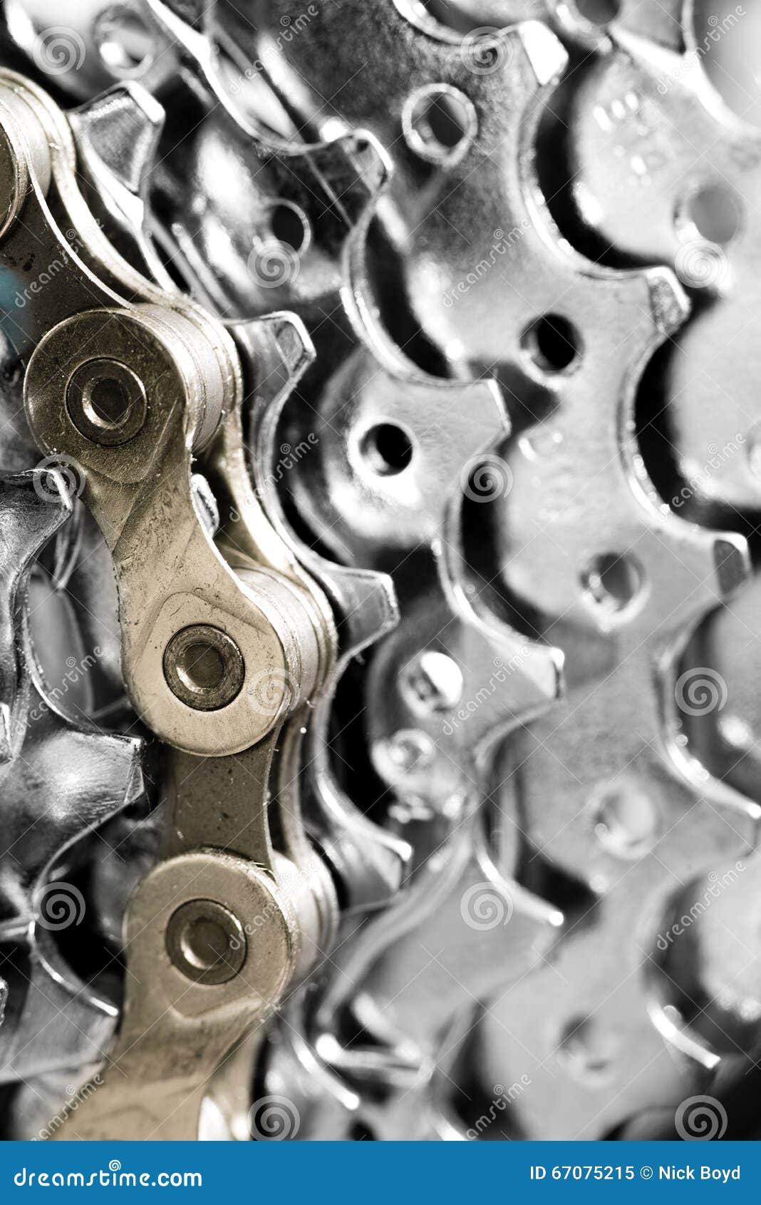 Gold Bicycle Chain on Silver Gears Stock Image Image of bike, gears
