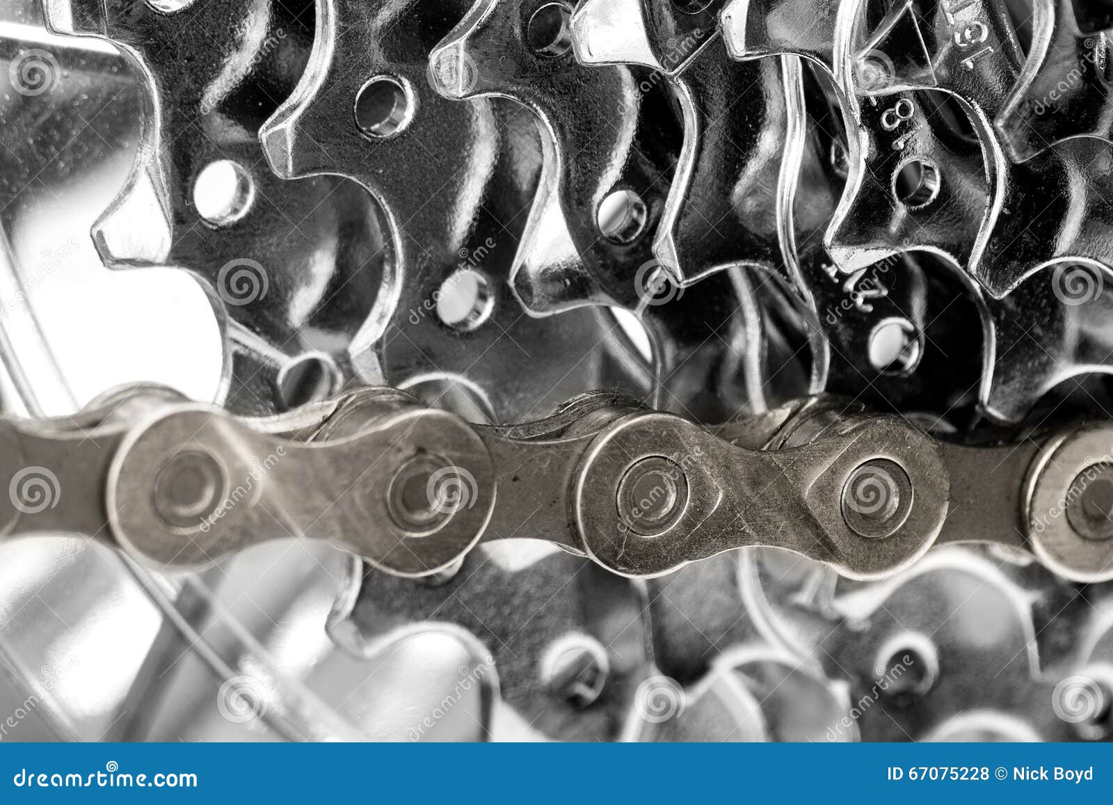 Gold Bicycle Chain on Silver Gears Stock Photo Image of bicycle