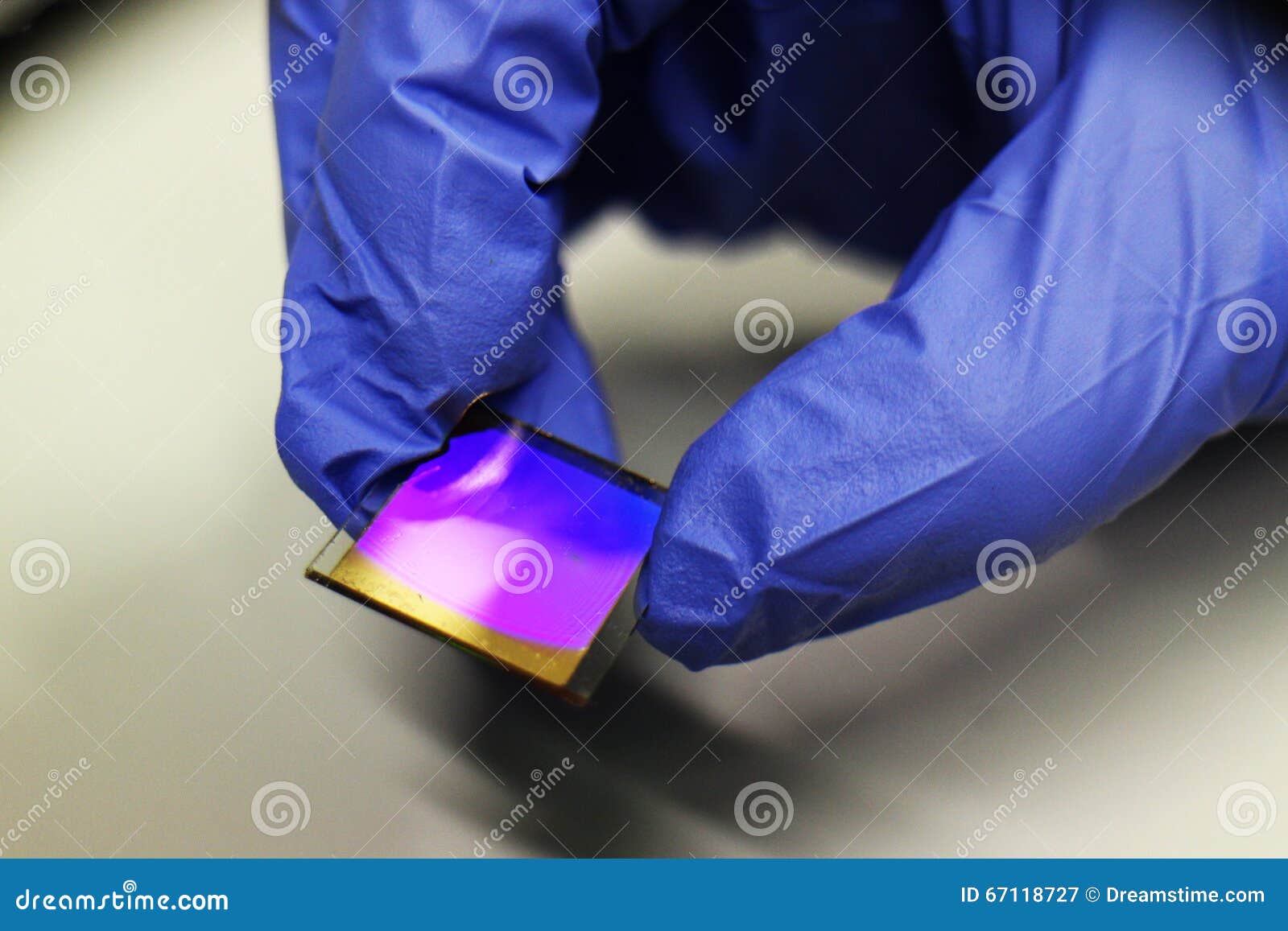 gold biochip for biomedical and technological applications
