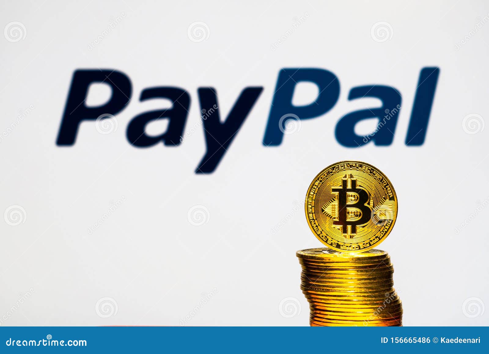Buy Horse (Profile Background) from Steam  Payment from PayPal, Webmoney,  BitCoin (BTC)