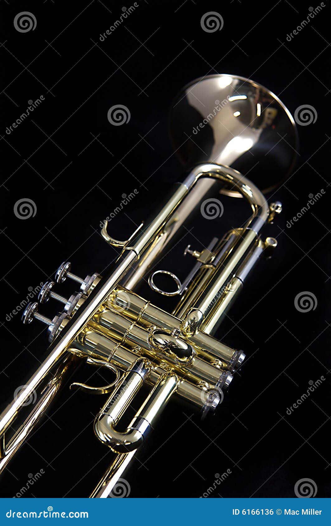 Gold Brass Trumpet on Black Stock Photo Image of orchestra, portrait