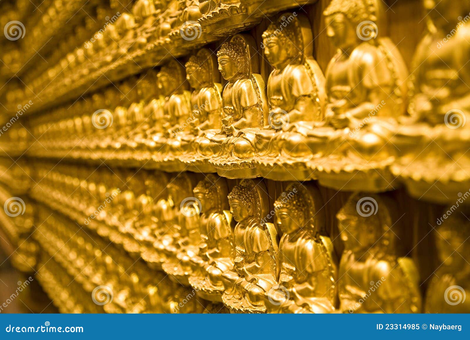 Gold buddha stock image. Image of faithfully, bangkok 23314985