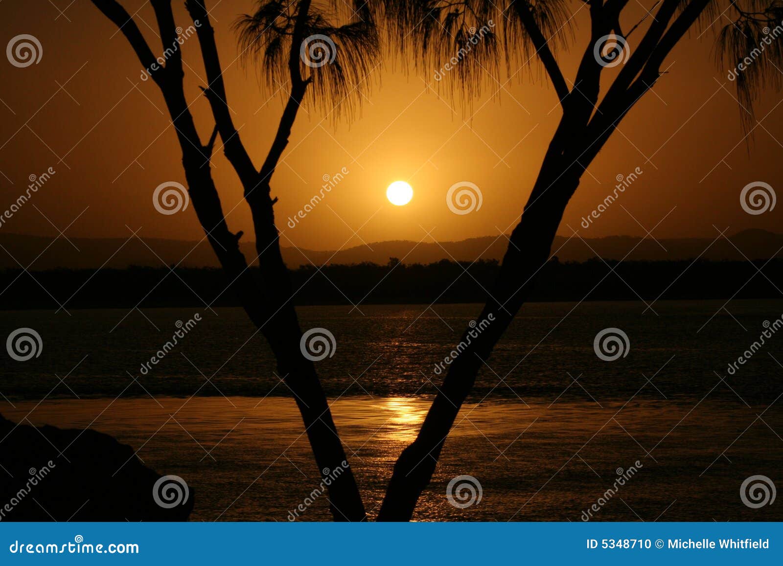 Gold Coast Sunset with Palm Tree Stock Photo - Image of gold, honeymoon ...