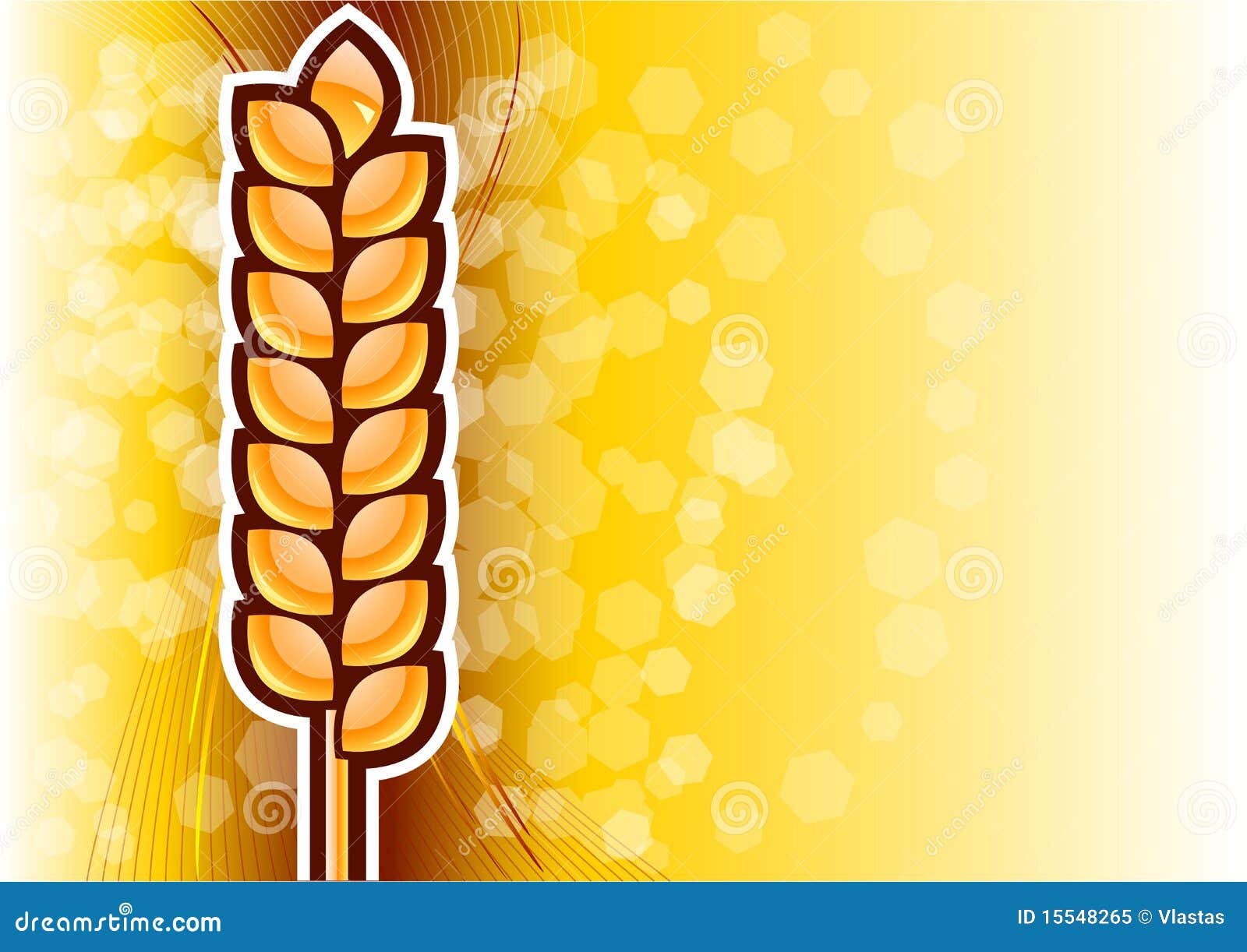 Gold corn stock vector. Illustration of nature, glossy 15548265