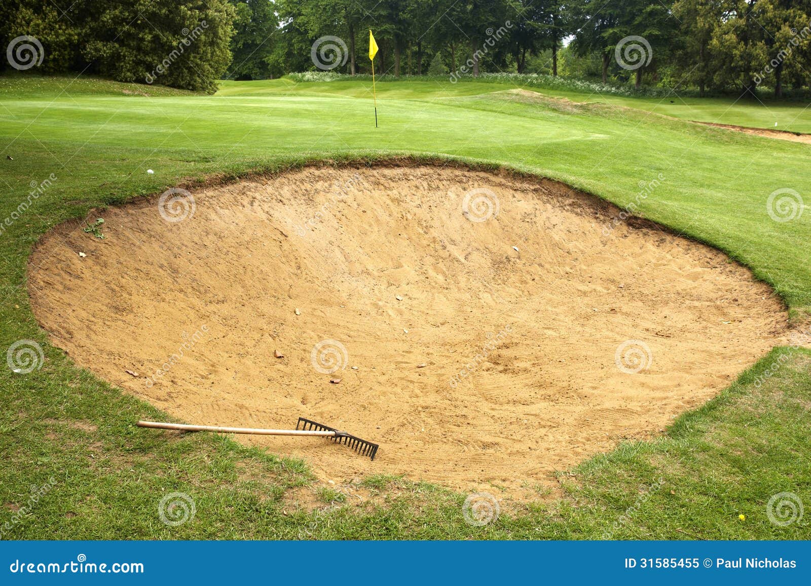 Golf Course Bunker with Rake Stock Image Image of golf, rough 31585455