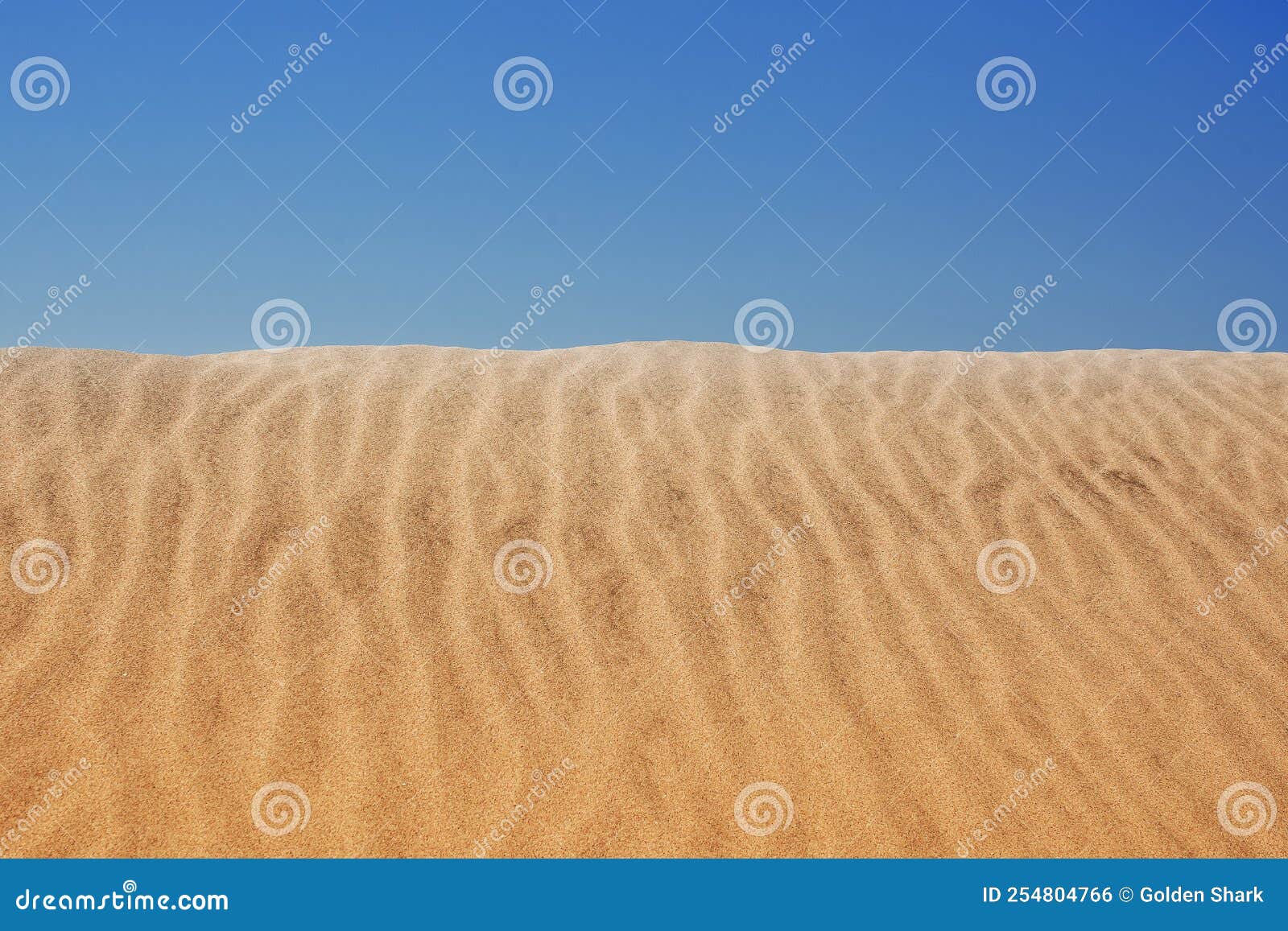 Gold Desert Sand Texture on the Beach Stock Photo Image of life