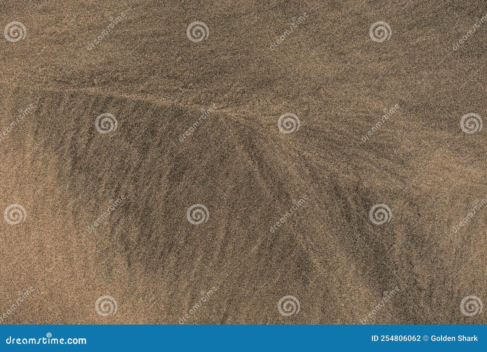 Gold Desert Sand Texture on the Beach Stock Photo Image of golden