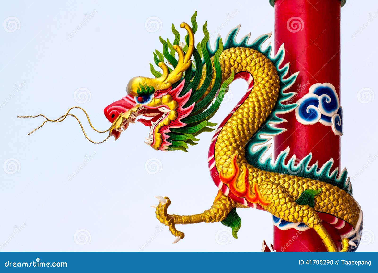 Gold Dragon on White Background Stock Photo Image of background