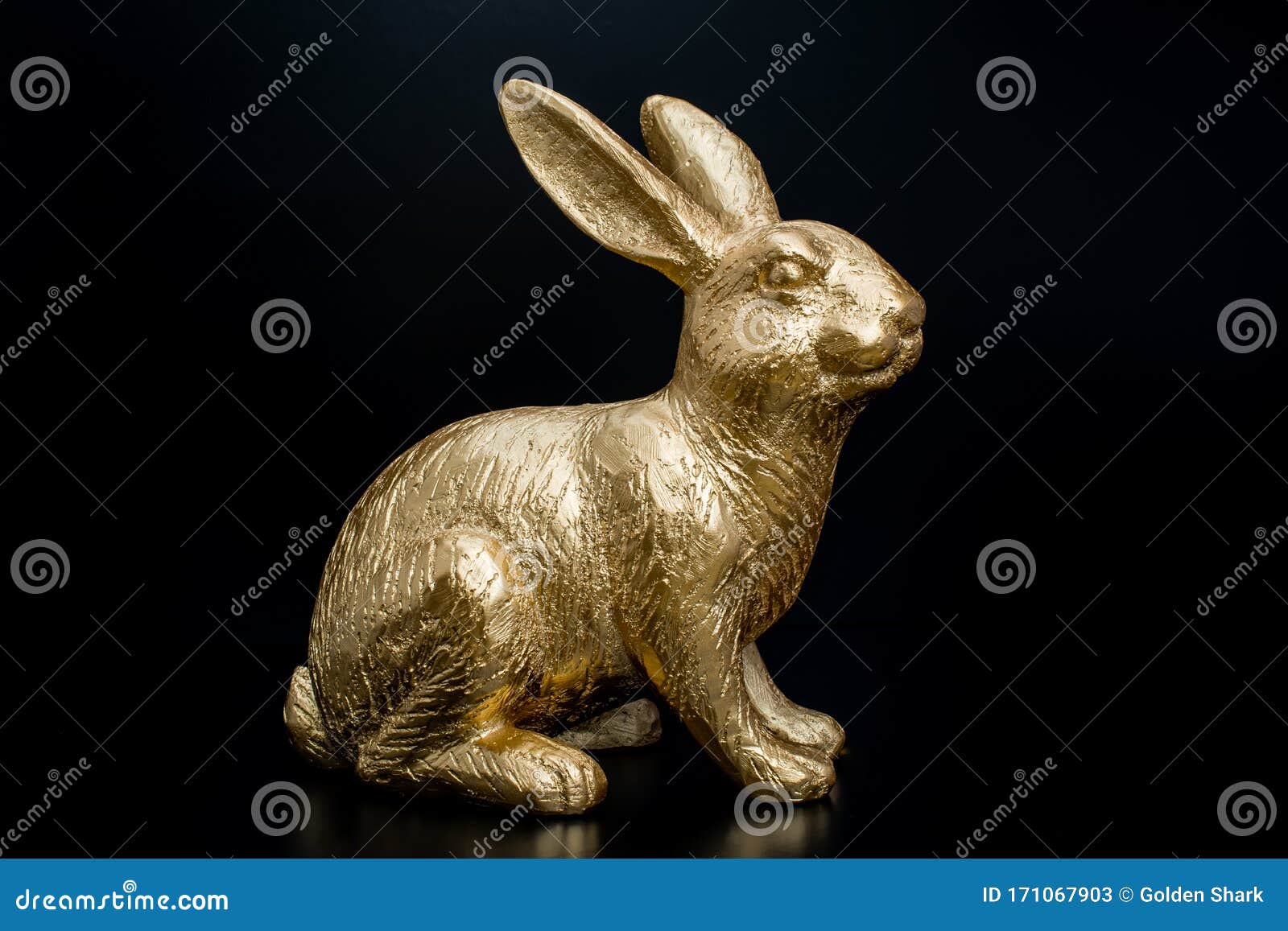 Gold Easter Bunny Rabbit on Black Background Stock Image Image of