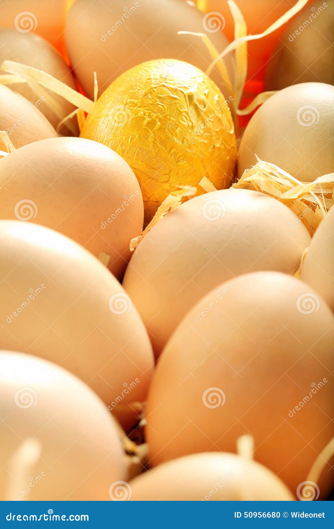 Gold Egg in a Basket Full of Eggs Stock Photo Image of treasure, nest