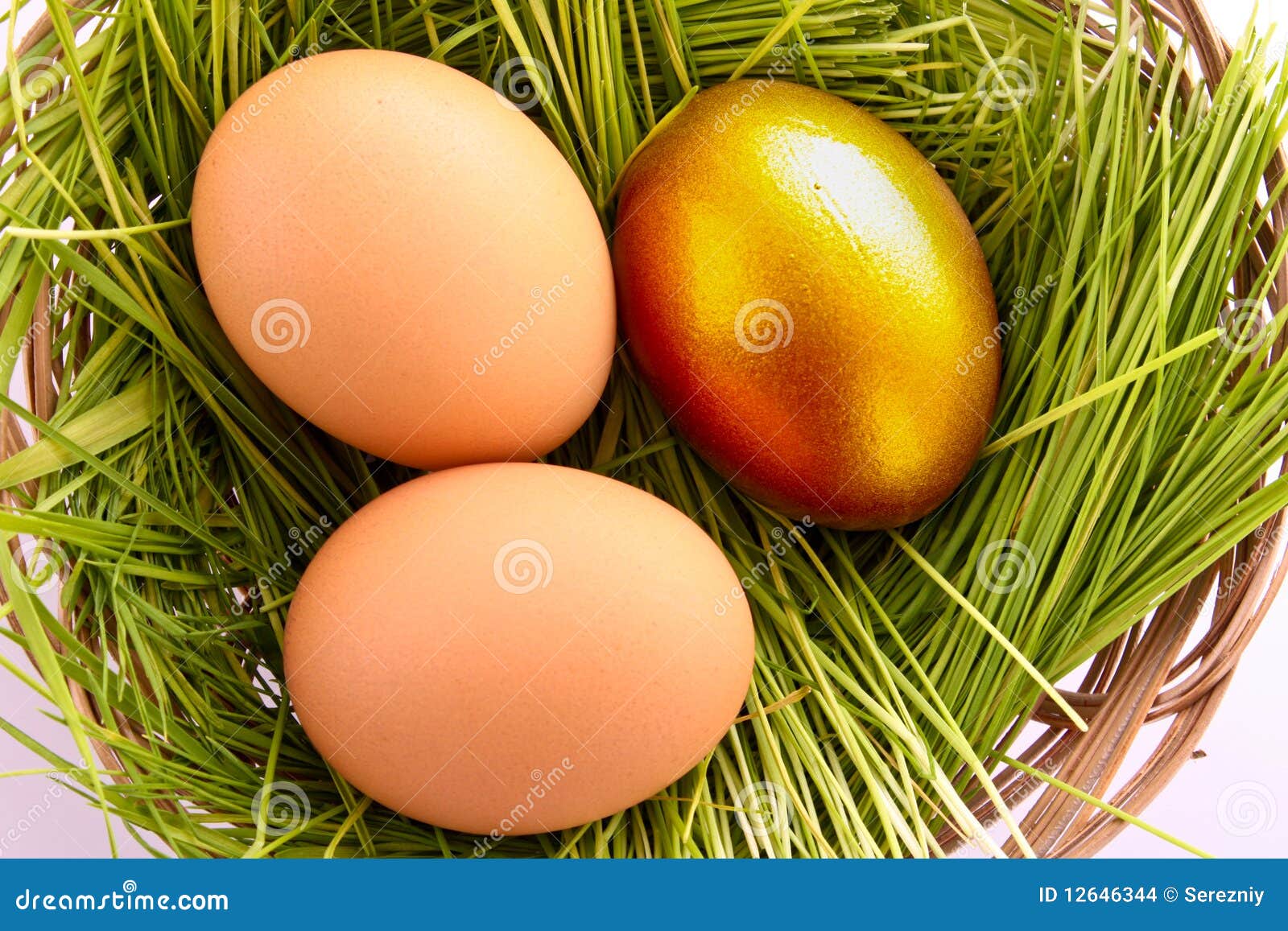 Gold egg in nest stock photo. Image of cash, gold, savings 12646344