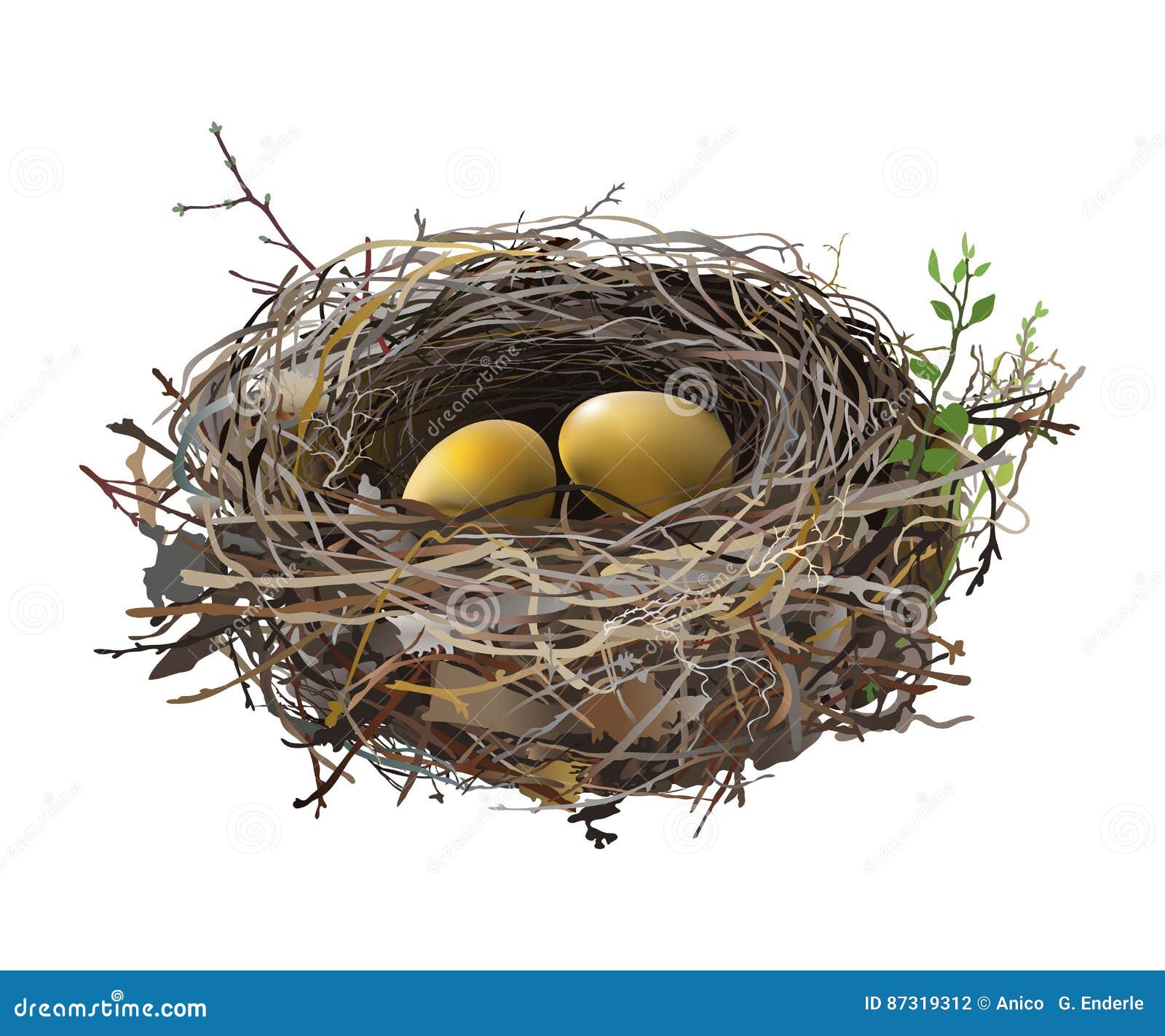 A Golden Egg In Nest With Leaves PNG Images