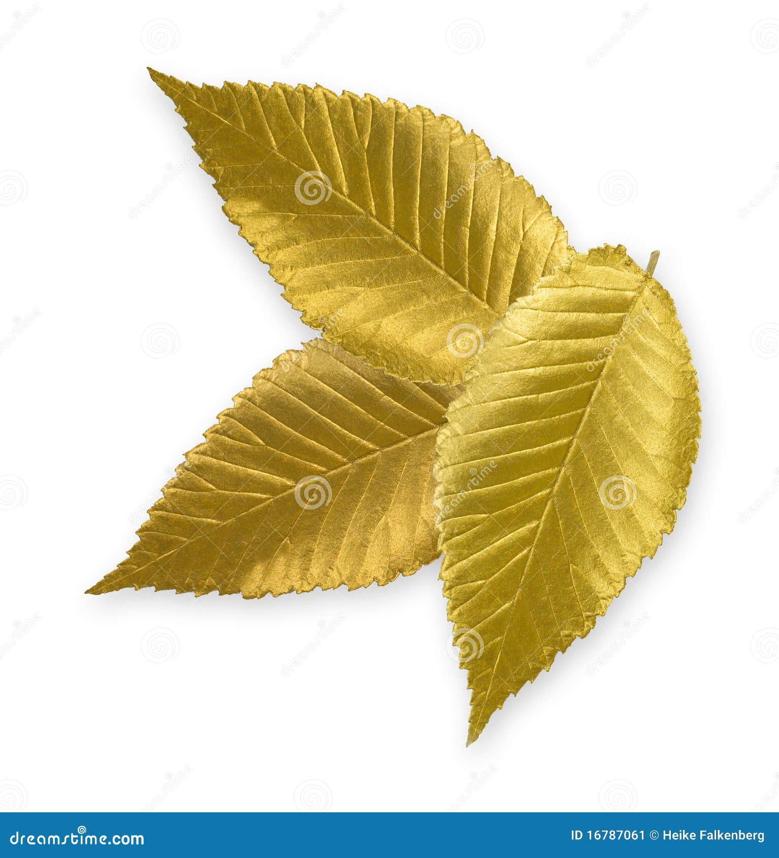 Gold leaves Stock Photos, Royalty Free Gold leaves Images