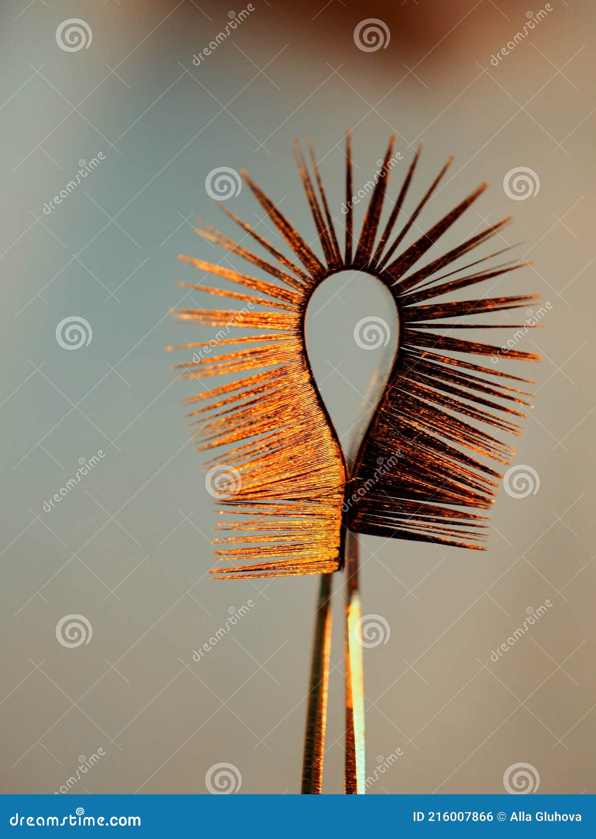 Gold Eyelash Extensions, Yellow Tweezers Stock Photo Image of