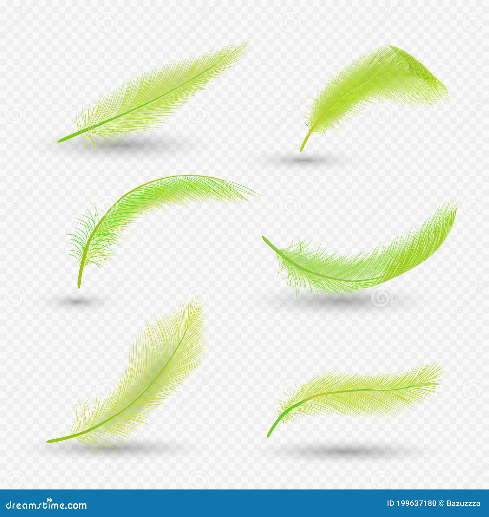 Vector Gold Feathers Collection Set Different Stock Vector