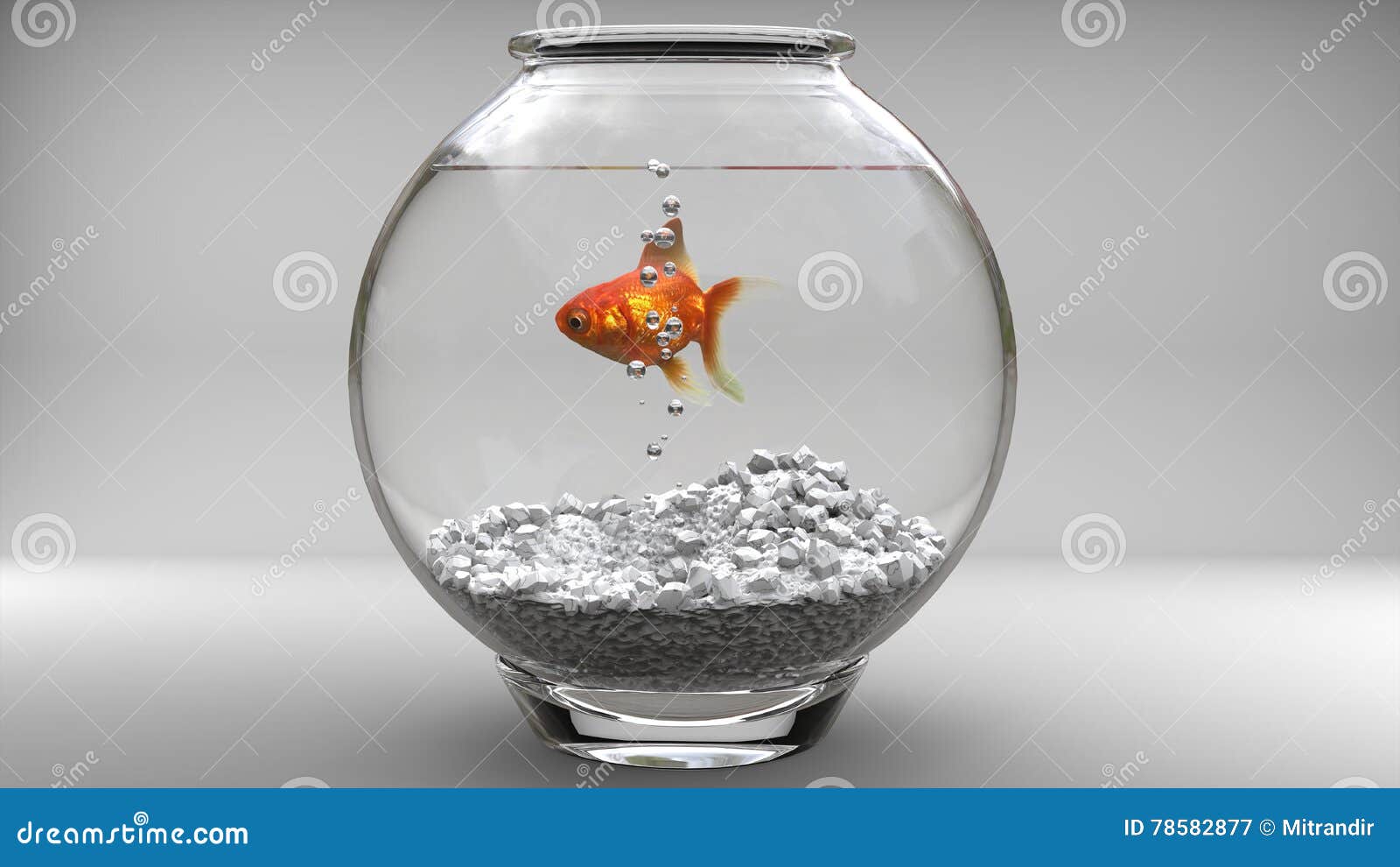 Gold fish in a fishbowl stock image. Image of small, water 78582877