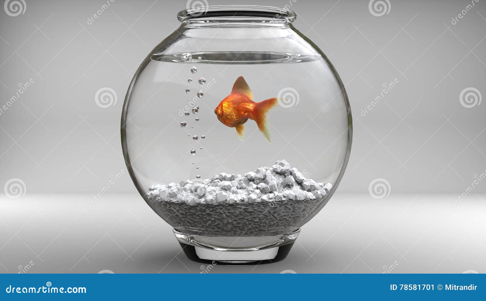 Gold Fish in a Fishbowl Bubbles Stock Image Image of fish, animal
