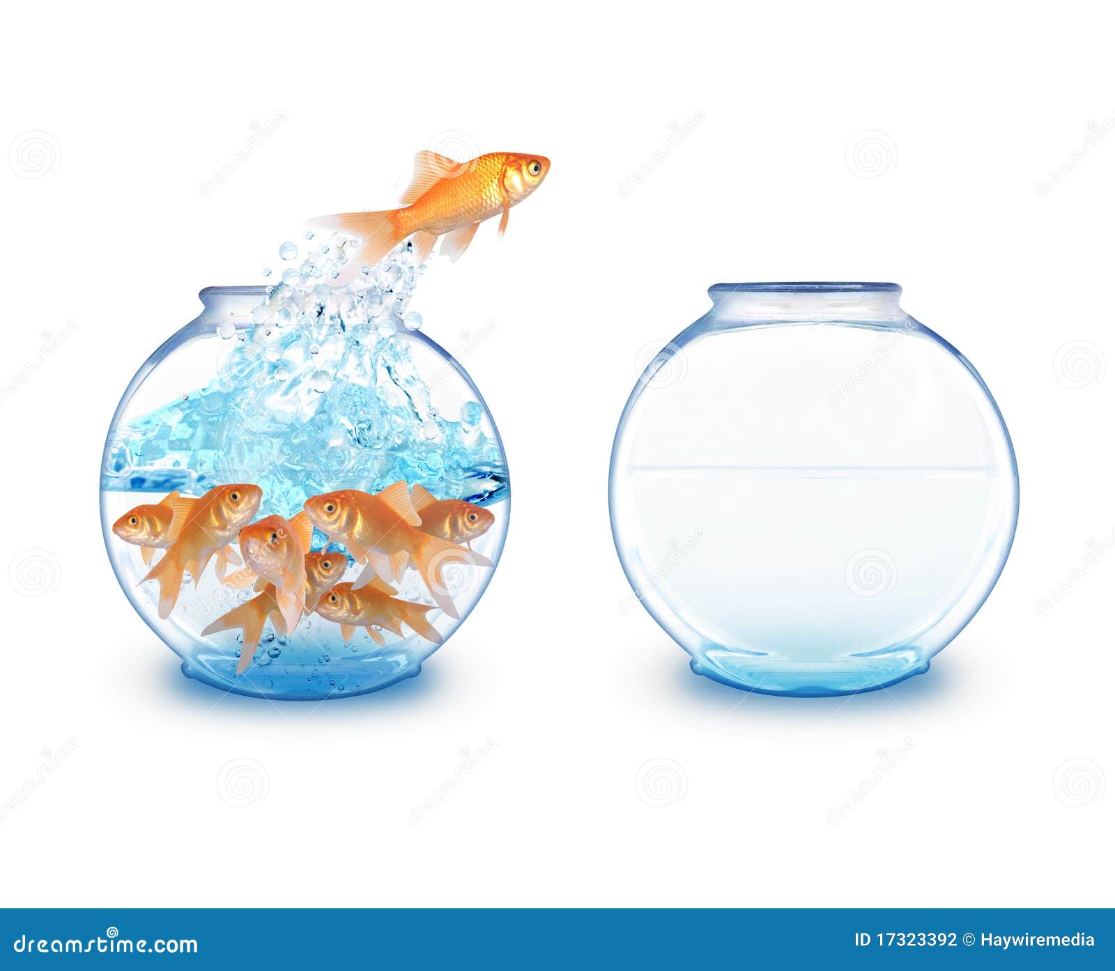 My Image 23