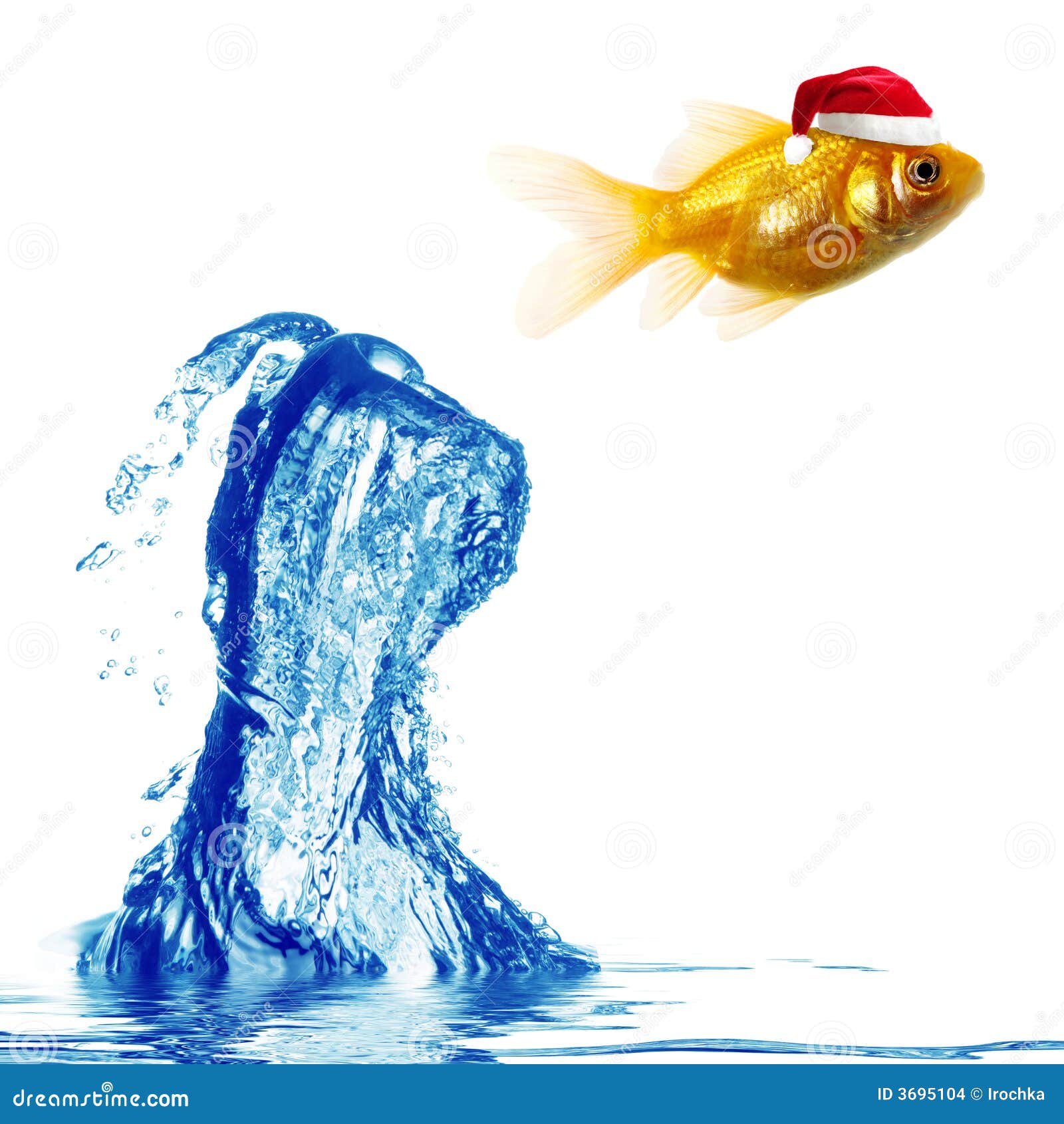 petsolutions live fish