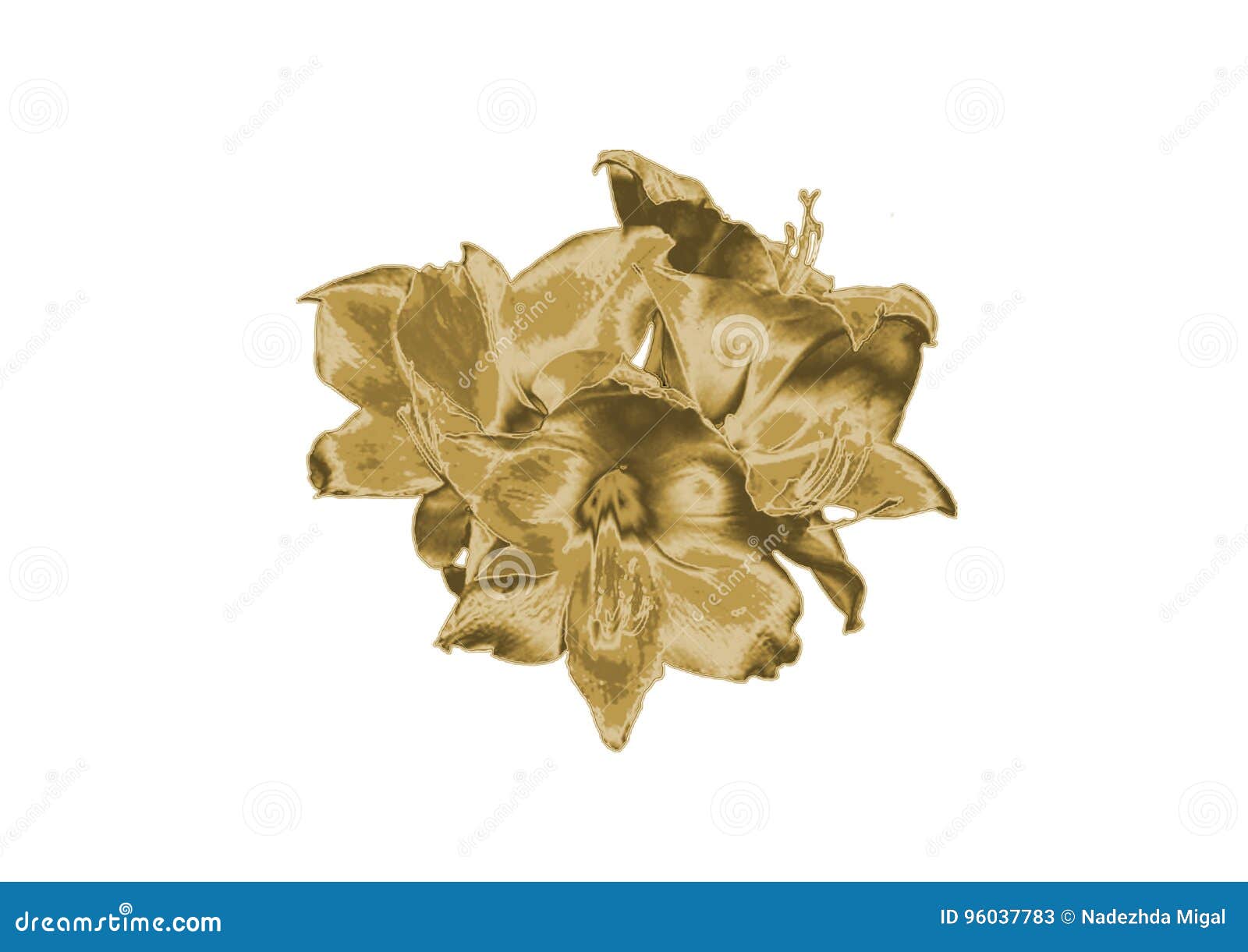 Gold flower stock image. Image of flower, flowers, orchid 96037783