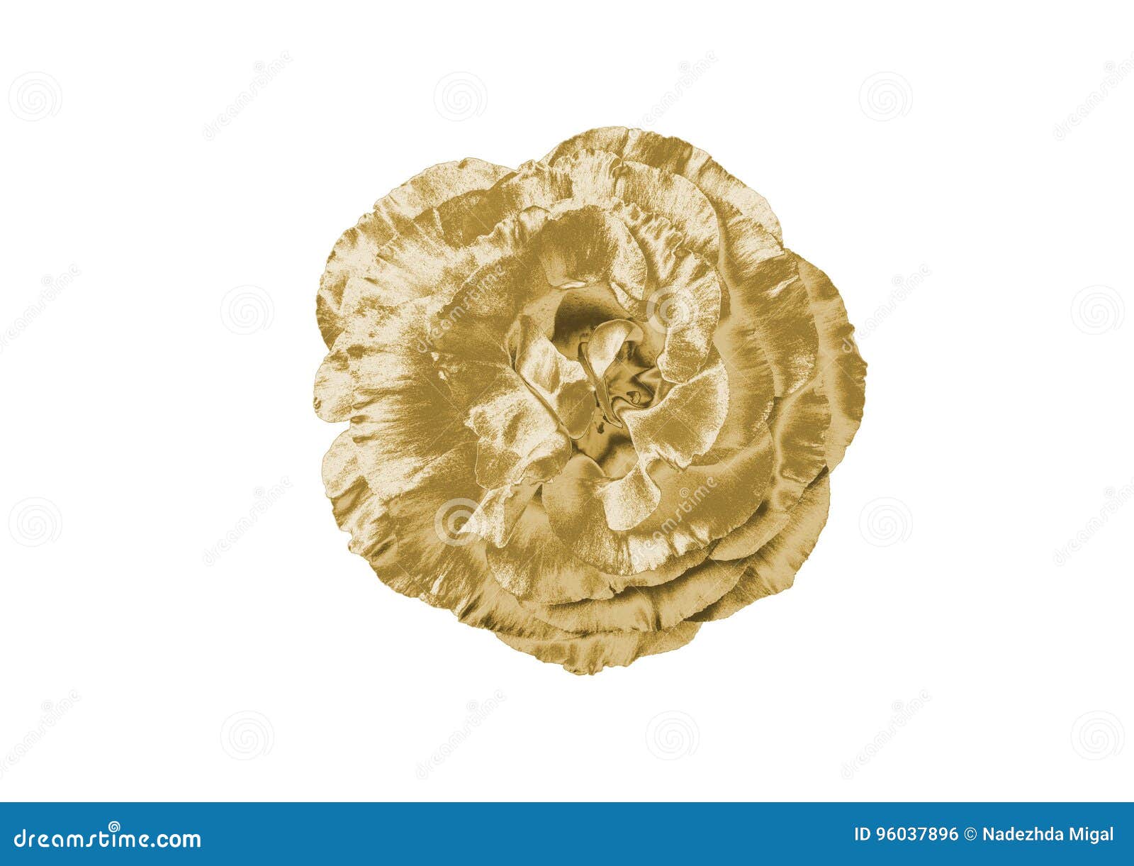 Gold flower stock photo. Image of textures, background 96037896