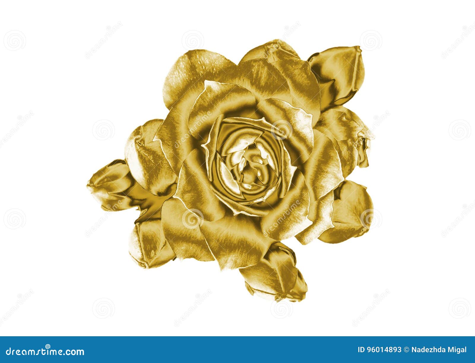 Gold flowers stock image. Image of lily, beautiful, gold 96014893