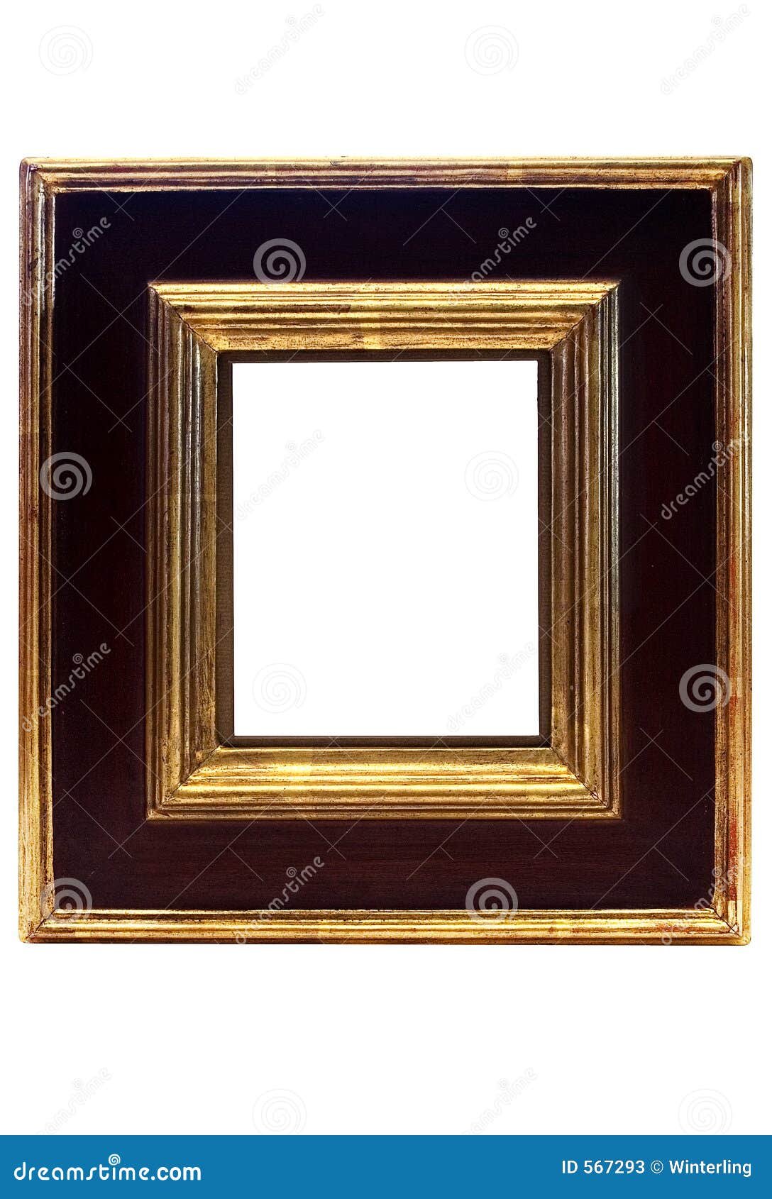 gold framed picture frame w/ path