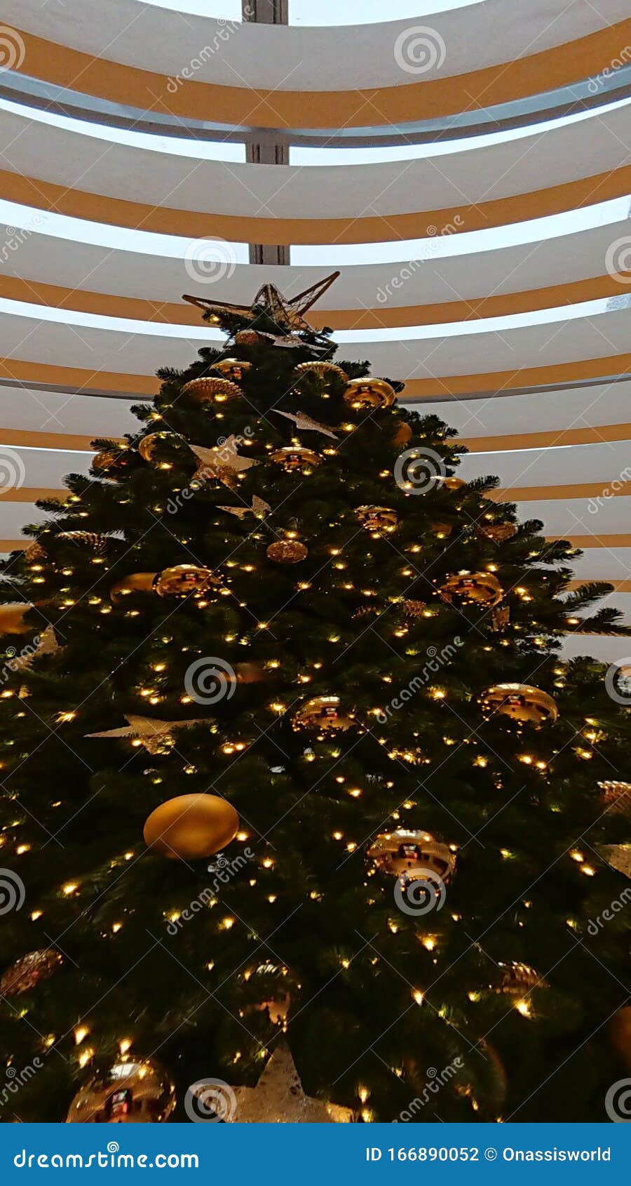 Gold Green Christmas Tree Abstract Background Stock Photo Image of