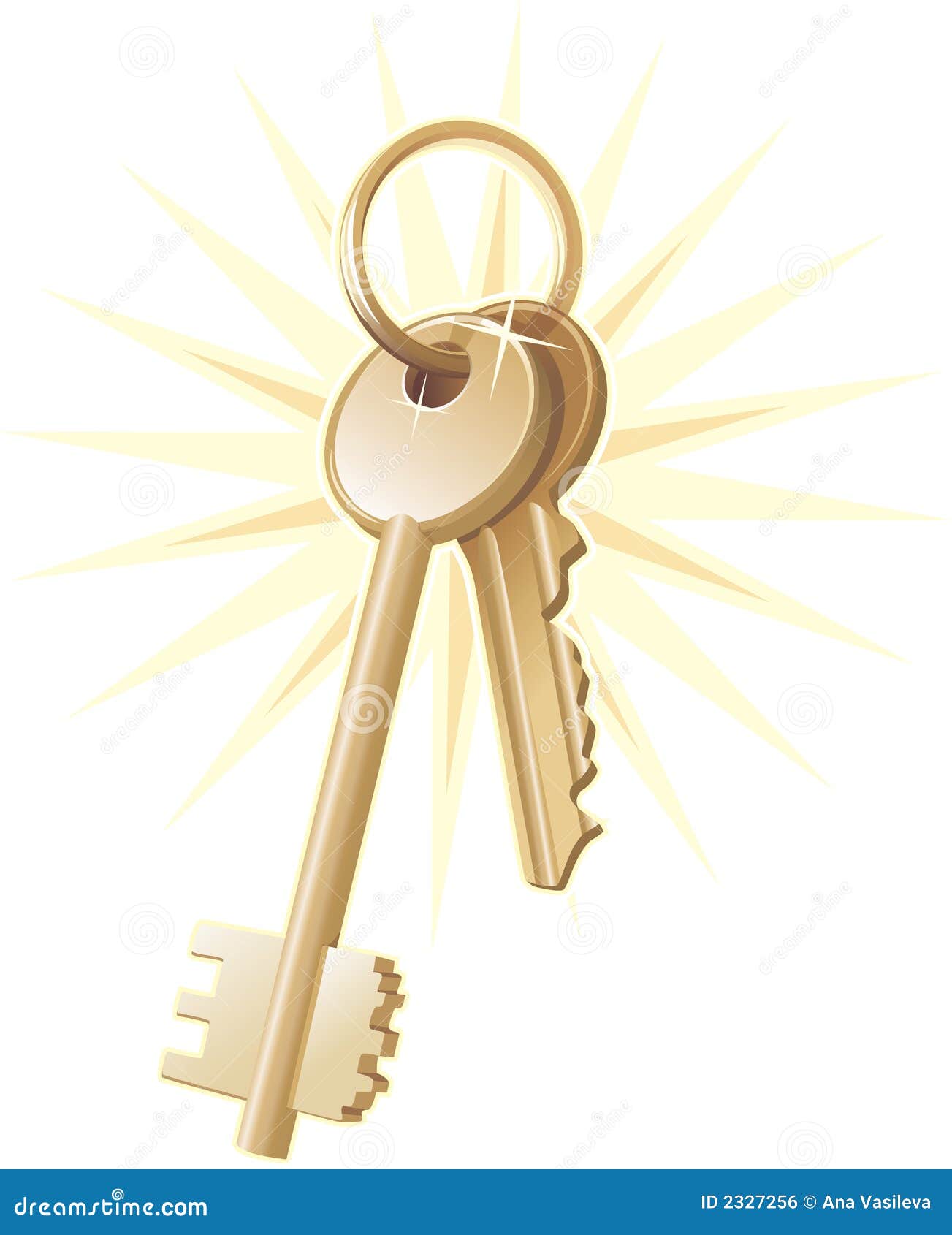 Gold Home Keys, Realty, Vector Royalty Free Stock Image Image 2327256