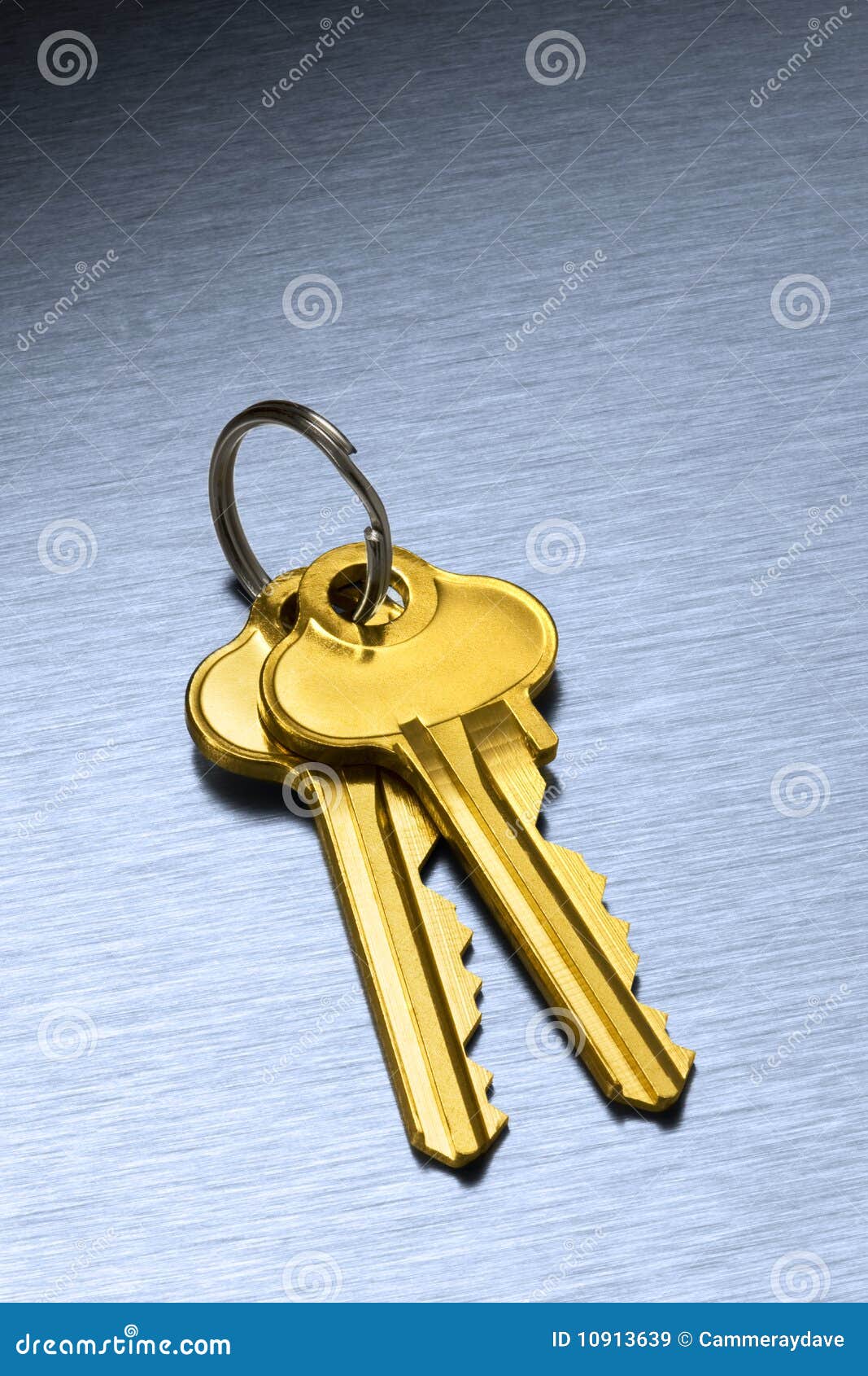 Gold House Keys Keyring stock image. Image of keyring 10913639