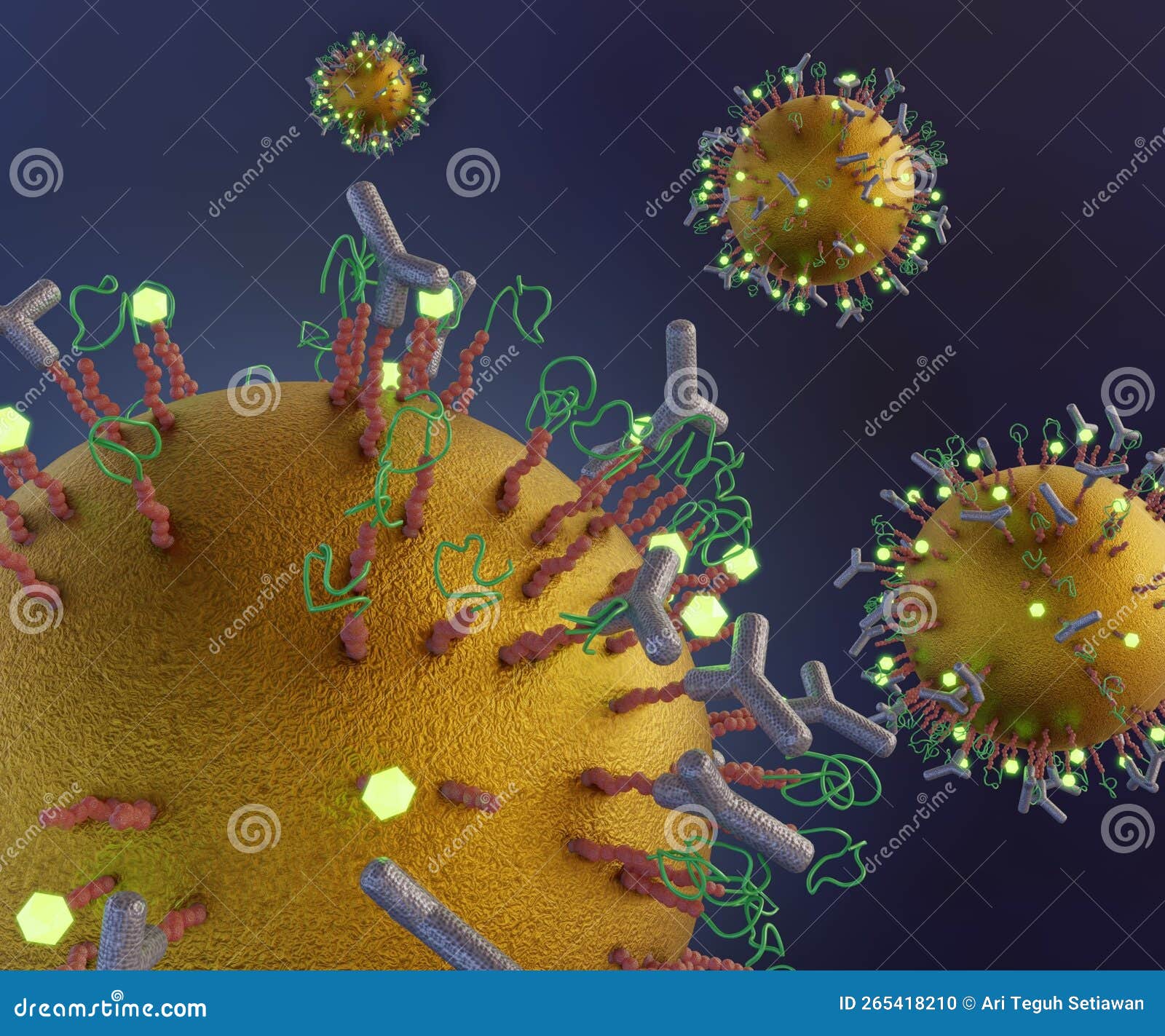 the gold nanoparticle conjugates antibodies, proteins, peptides, ligands, linker, polymers and biosensor