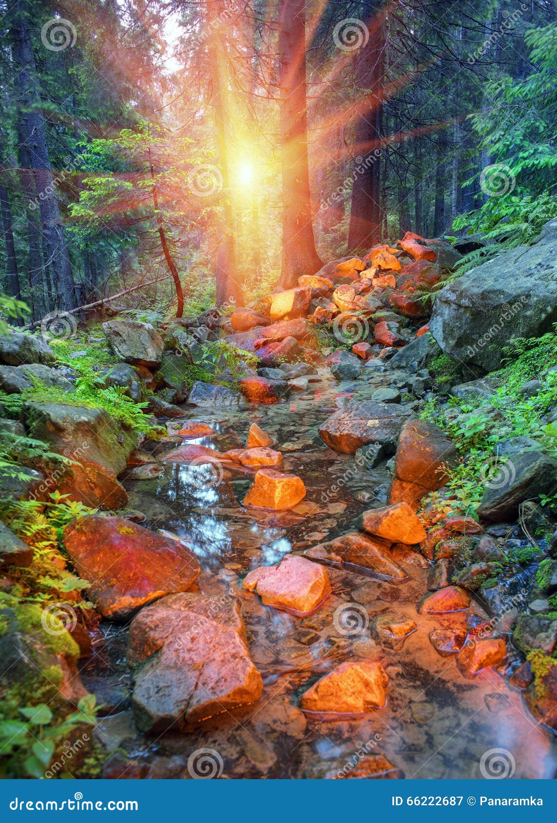 Gold Nuggets In The Stream Stock Image Image Of Park Gold Nuggets In The Stream Stock Image Image Of Park