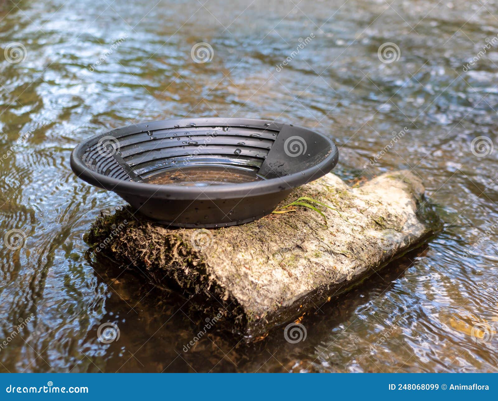 Gold pan for gold panning stock image. Image of flow 248068099
