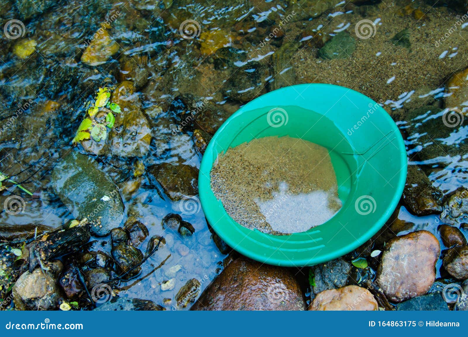 gold panning goldpan filled with mineral rich soil,  in gold bearing stream.  fun, recreational outdoor activity of prospecting.