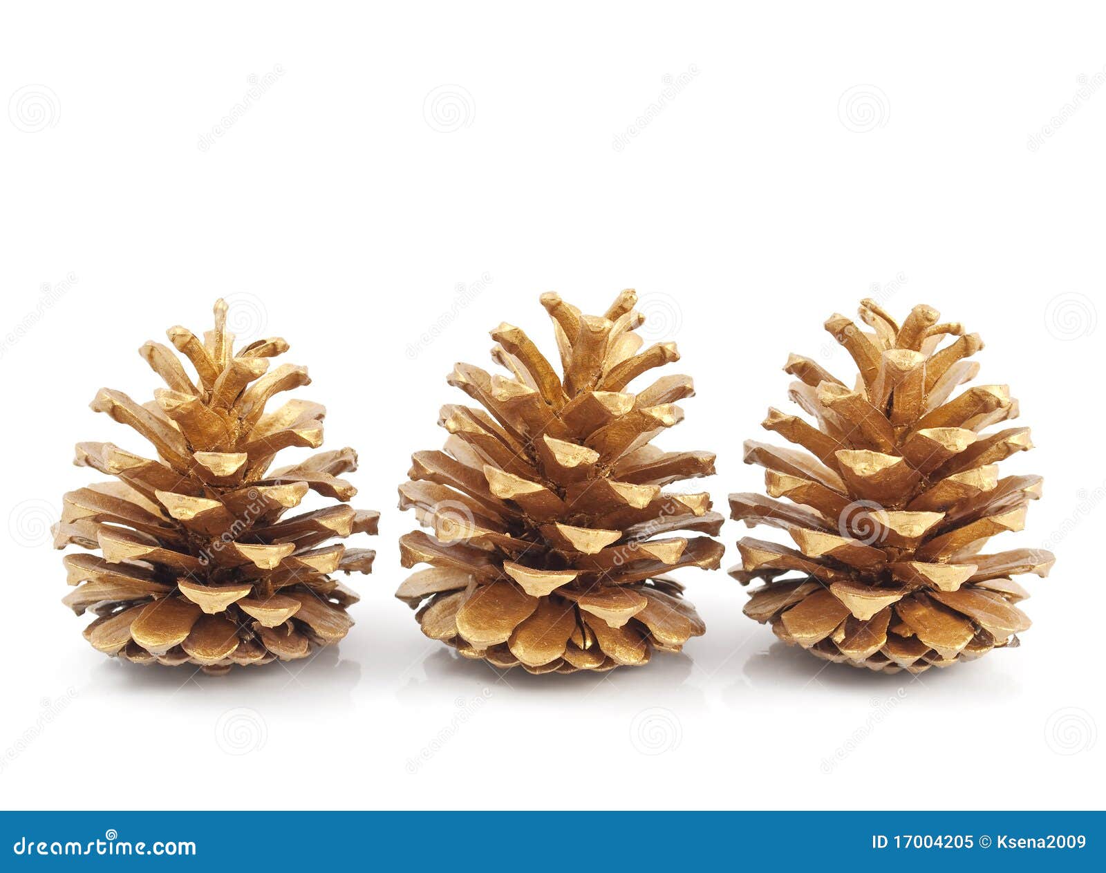 Gold pine cones stock image. Image of closeup, space 17004205