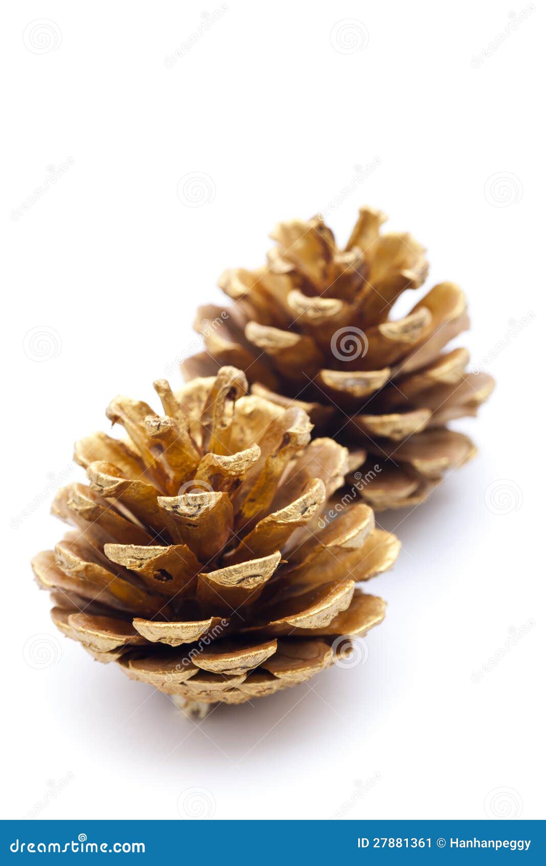 Gold pine cones stock image. Image of decoration, golden 27881361
