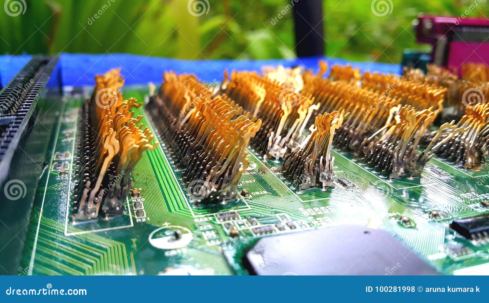 Gold pins stock photo. Image of motherboard, palnted 100281998