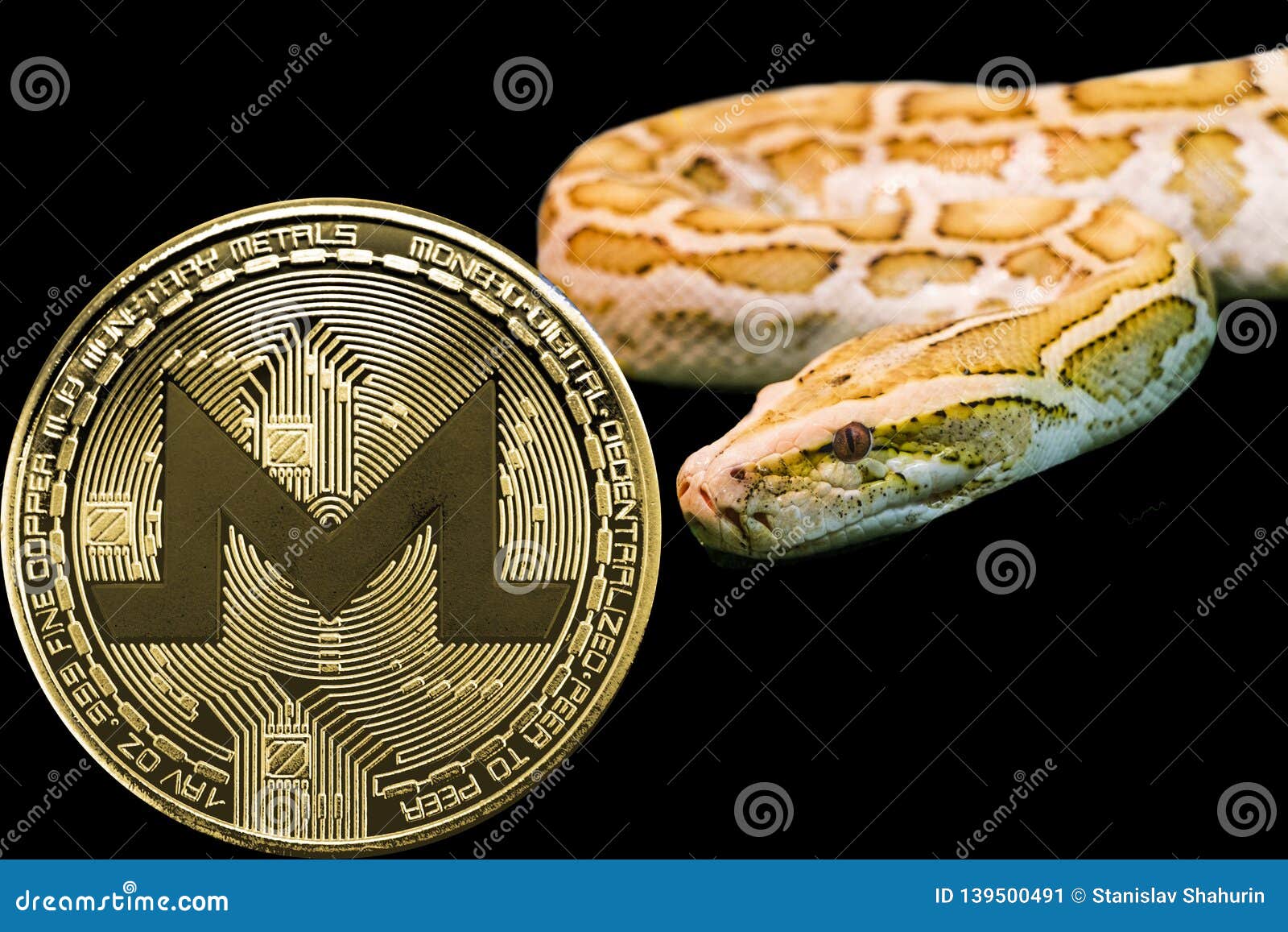Gold Python and Coin Cryptocurrency Monero. XMR Editorial Photo -  Illustration of money, cryptocurrency: 139500491