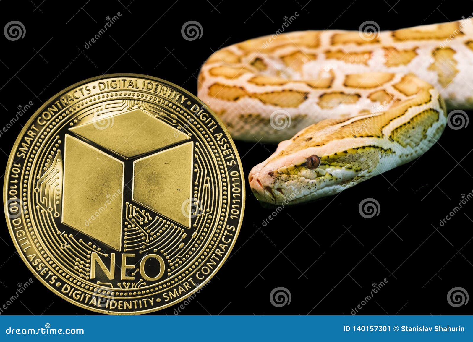 cryptocurrency pictures of snakes