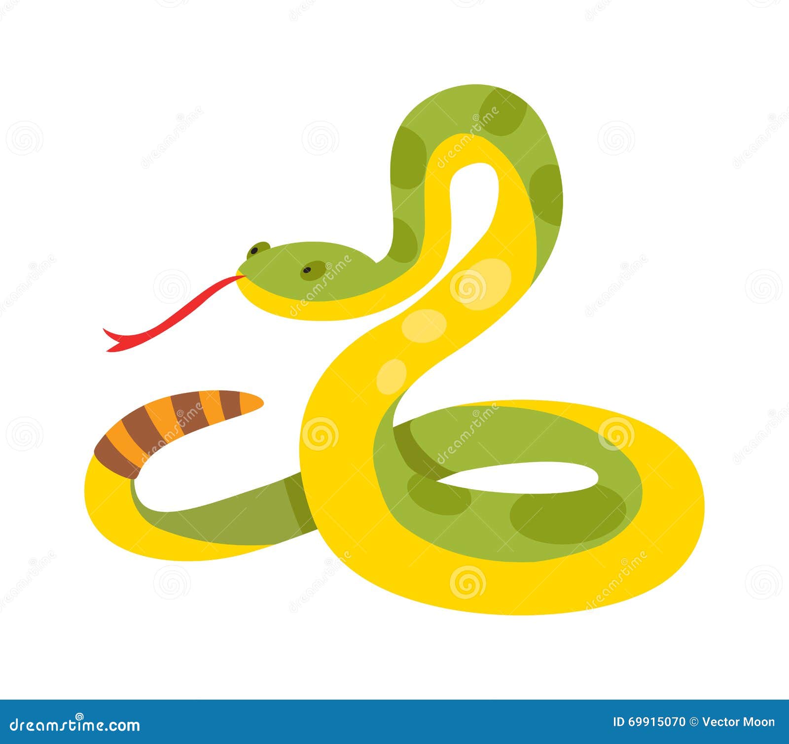 albino boa constrictor python albino boa constrictor python