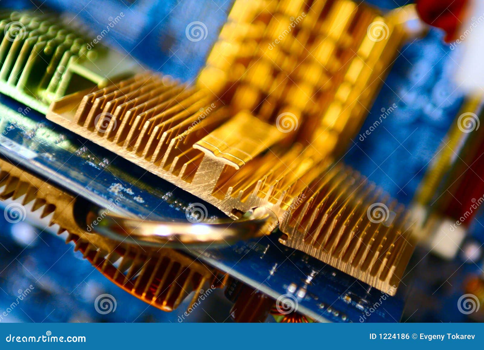 Gold radiator stock photo. Image of boards, memory, soundcards 1224186