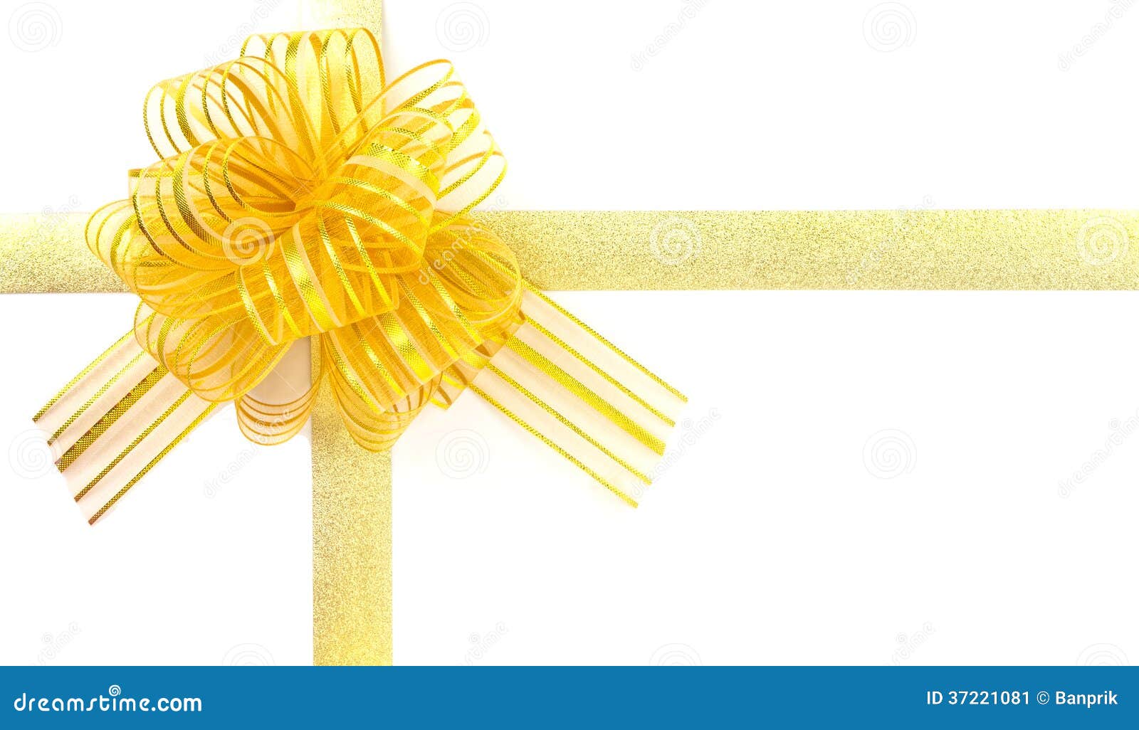 Gold Ribbon Bow Knot on White Stock Image Image of tied, frame 37221081