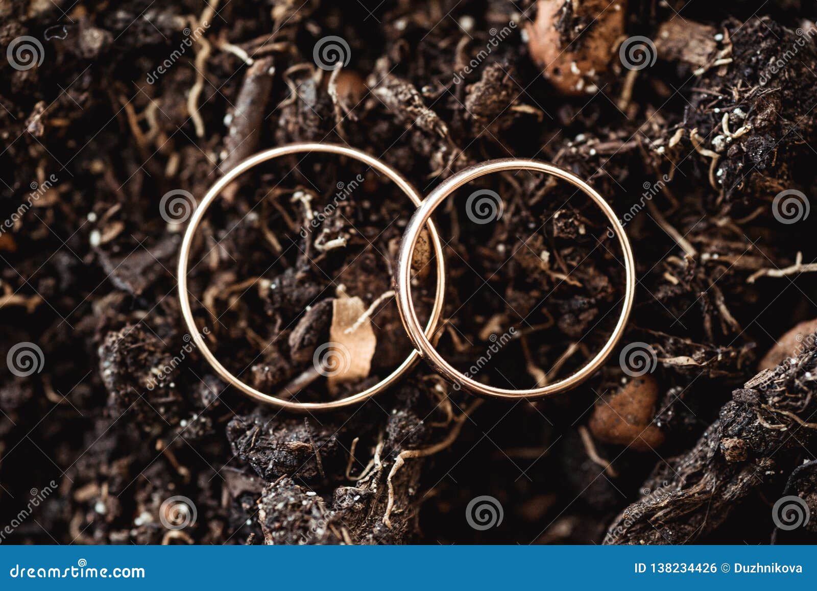 Gold Rings Lying Next To the Wet Ground Stock Photo Image of feelings
