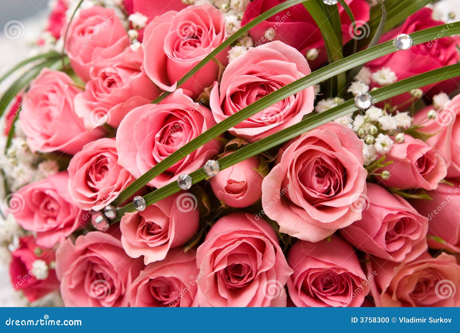 Gold Rings and Rose Bouquet Stock Photo Image of engagement, married