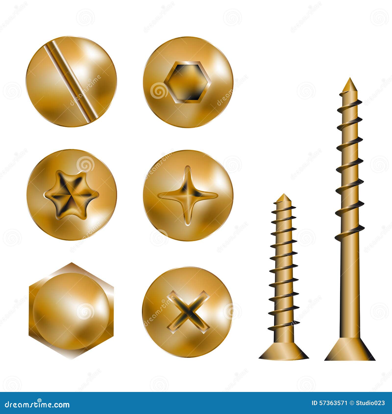 Gold heads stock vector. Illustration of chrome, gold 57363571